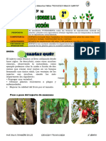 Ua 06 - Actividad 04-Reproduccion Asexual de Las Plantas-24092024