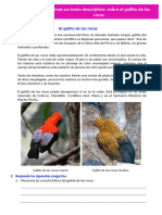 D4 A1 FICHA COM. Leemos Un Texto Descriptivo Sobre El Gallito de Las Rocas