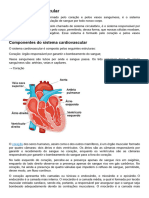 Sistema Cardiovascular