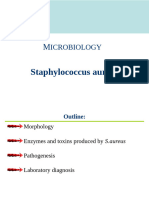 Staphylococcus Aureus For BScNsg-1