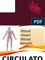 Lesson 1.1 - Circulatory System