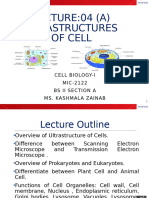 Lecture 04 (A) Ultra Structures of Cell