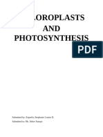 Chloroplast Written Report