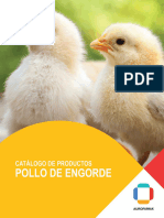 Catalogo Egd 2020