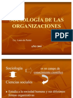 Sociologia de Las Organizaciones