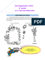 Diagnóstico 6° 2022