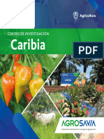 Brochure Caribia