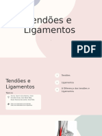 Tendões e Ligamentos