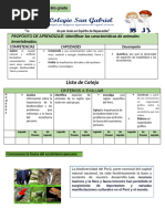 Ficha de Trabajo - Investigacion Fuana