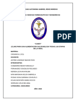 Informe Proyecto Organica CASEV