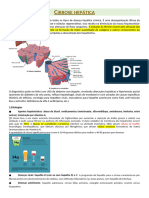 Cirrose e Suas Complicações