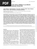 The AG1478 Tyrosine Kinase Inhibitor Is An Effective Suppressor of Leiomyoma Cell Growth