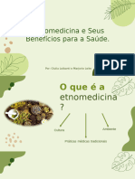 Seminário Etnomedicina Oficial