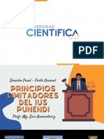 Principios Del Derecho Penal