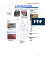 3 Gastrointestinal Examination Notes