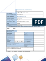 Practicas Formato Plan de Trabajo