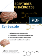 RECEPTORES DOPAMINÉRGICOS Farma1