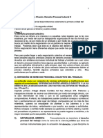 PDF Derecho P Laboral II - Compress