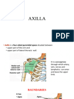 AXILLA