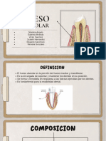 Hueso Alveolar PDF