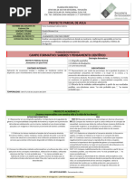 Plan Saberes 1ro Proyecto Parcial de Aula-1