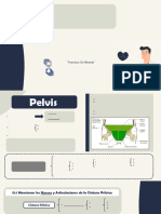 Diapositivas Pelvis y Coxal