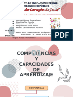 Capacidades, Competencias y Estándares de Aprendizaje