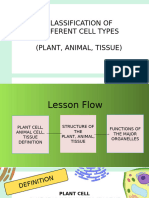 Plant Cell Structure Presentation in A Bold Green Yellow Style 3 1