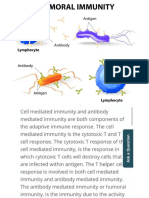 Comparison Between Cell Mediated and Antibody Mediated Immunity