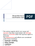 4amyloidosis-Texts