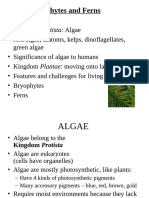 Algae, Bryophytes and Ferns