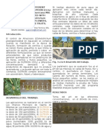 Articulo-Boletin de Dutrion en Aguacate