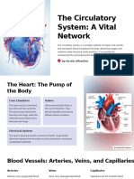 The Circulatory System A Vital Network