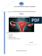 Trabalho Sistema Feminino