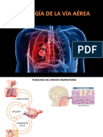 Regulación Respiratoria en Adultos