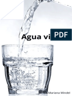 Agua Viva PDF