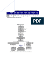 Generalidades Del Procesamiento Del CACAO