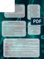 What Is A Prokaryotic Cell