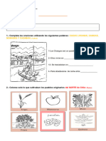 Prueba #4 Pueblos Originarios Del Norte.