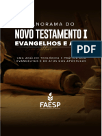 Faesp - Panorama Novo Testamento - Medio Teologia