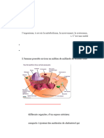 Anatomie Et Physiologie