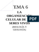 TEMA 6 Organización Celular