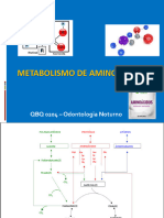 Metab AA e Ciclo Da Ureia 2023