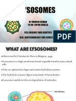 Lysosomes by Munish ..