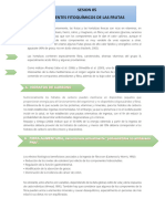 Tema 05 - Agentes Fitoquimicos de Las Frutas y Hortalizas