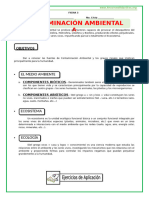 Contaminacion-Ambiental-FICHA No 3