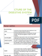 Structure of The Digestive System