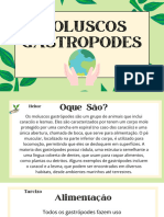 Formação Da Terra