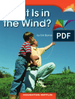 Lesson 8 - What Is in The Wind