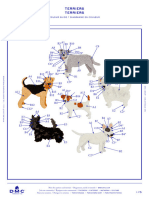 DMC Terriers Embroidery Pattern PAT1740 Downloadable PDF 2